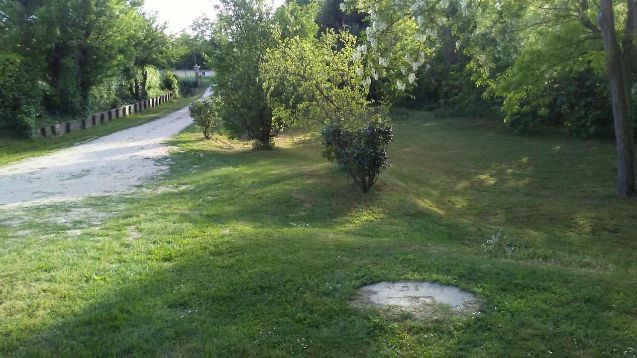 Bed And Breakfast Sile E Natura Sant'Elena di Silea Екстериор снимка